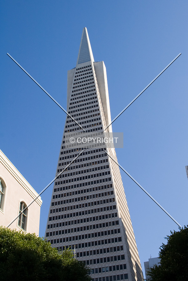 Transamerica Pyramid by Martin Bugajski