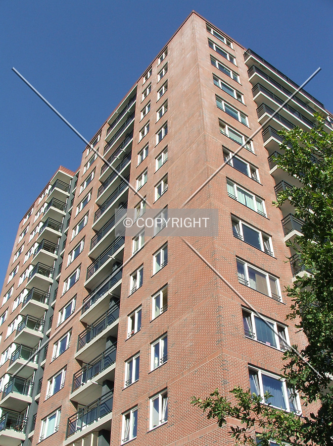 De Jeker by René Hogendijk