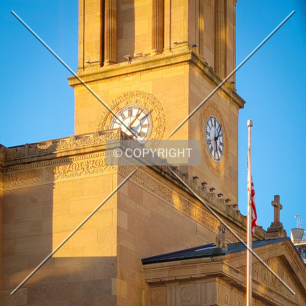 Cathedral of the Immaculate Conception by Ryan Hildebrand
