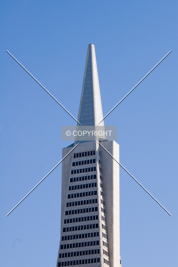 Transamerica Pyramid by Martin Bugajski