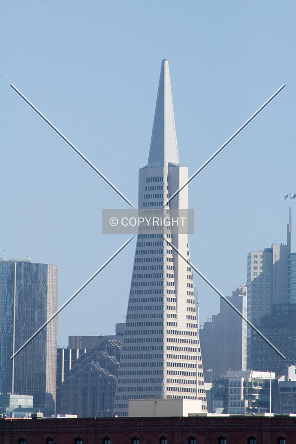 Transamerica Pyramid by Martin Bugajski