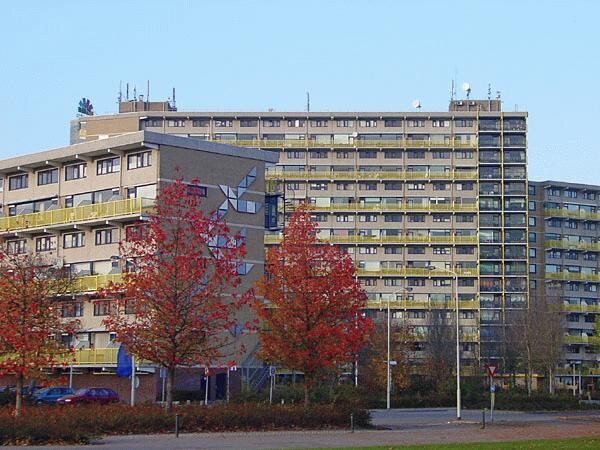 Merwewaard