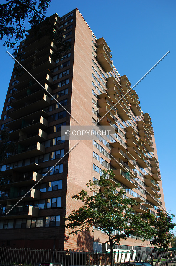 Metropolis Towers 1 by Royce Douglas