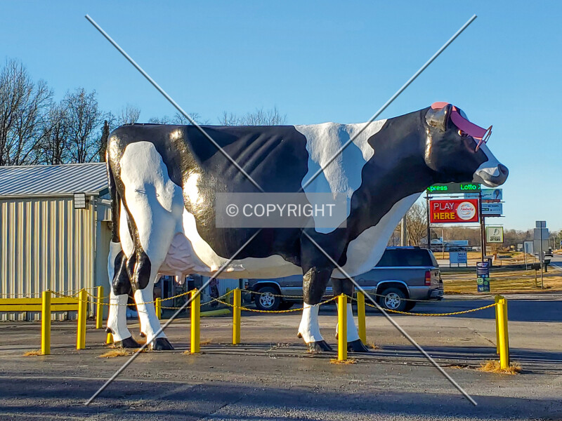Big Cow Statue
