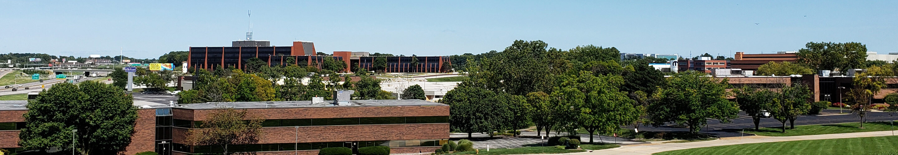 Hazelwood