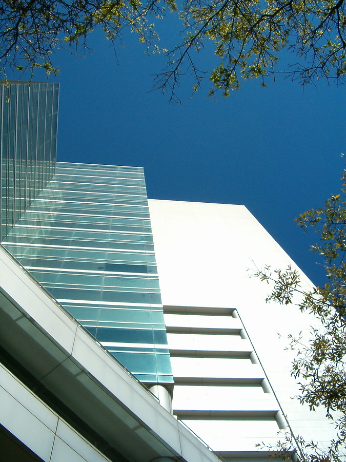 Two Prudential Plaza by Rodney Gunn