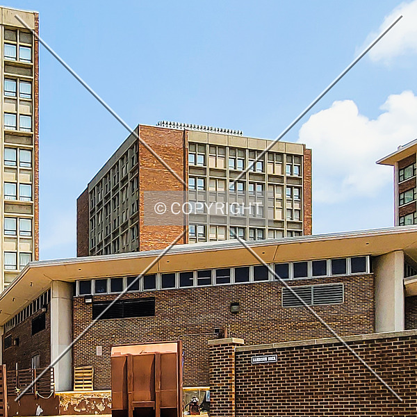 Hines Hall by Ryan Hildebrand