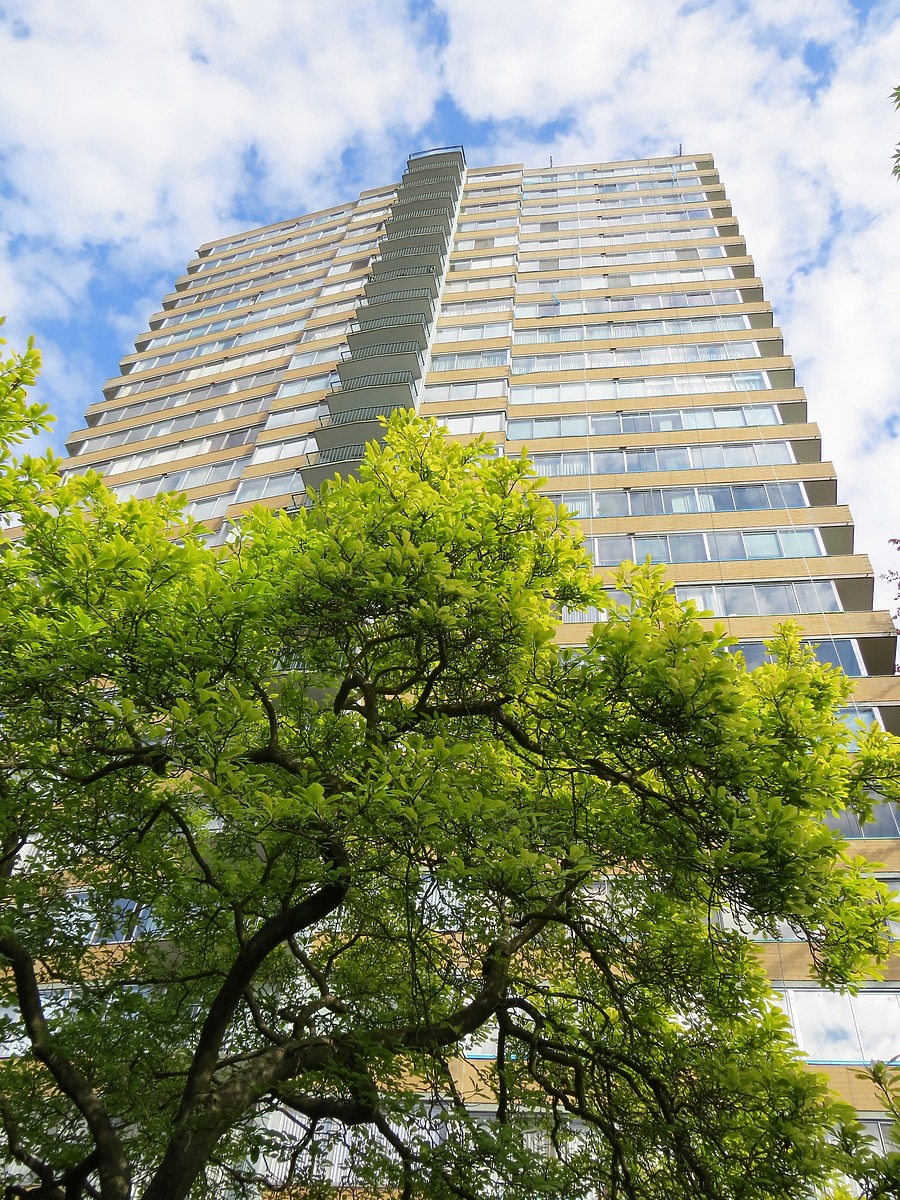 Panorama Place by James Peacock