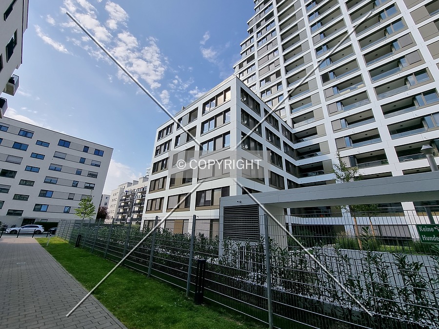 SOLID Home by Nephilim