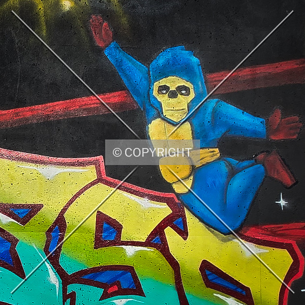 Saint Louis City Flood Wall (South Wall) by Ryan Hildebrand