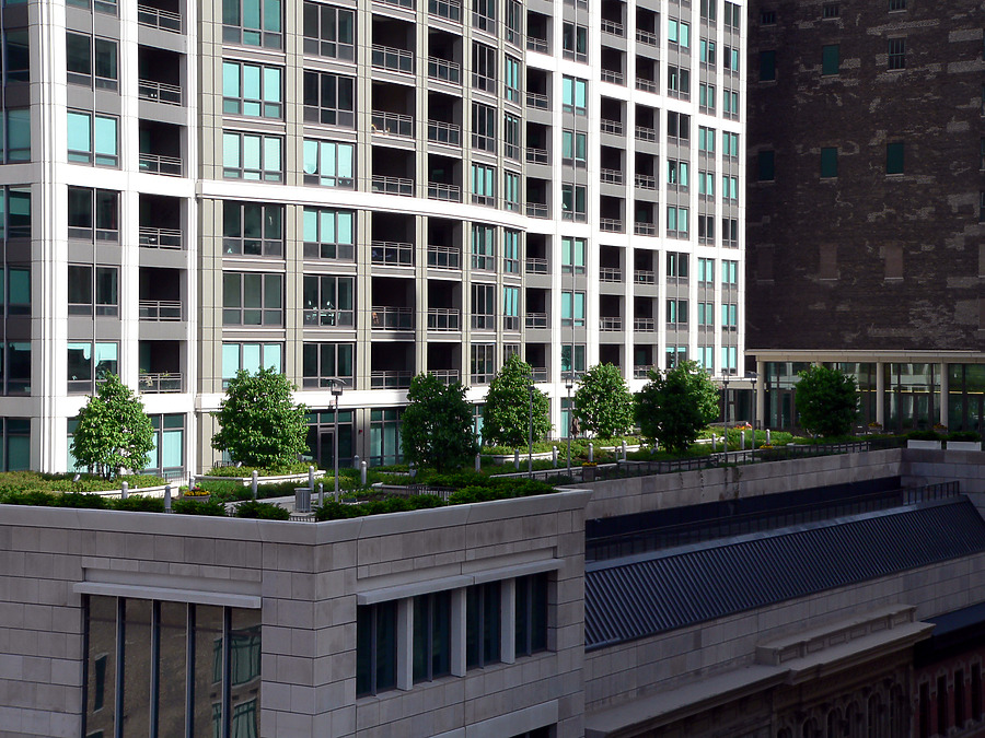 The Heritage at Millennium Park by B. Victor Adams