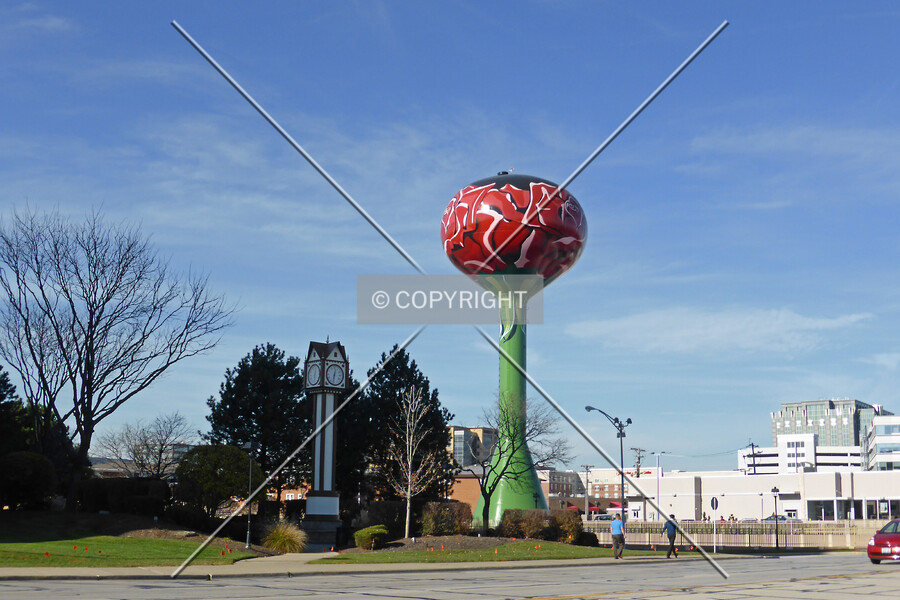 Rosemont Water Tower
