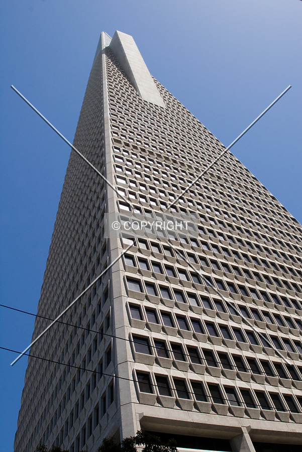 Transamerica Pyramid by Martin Bugajski
