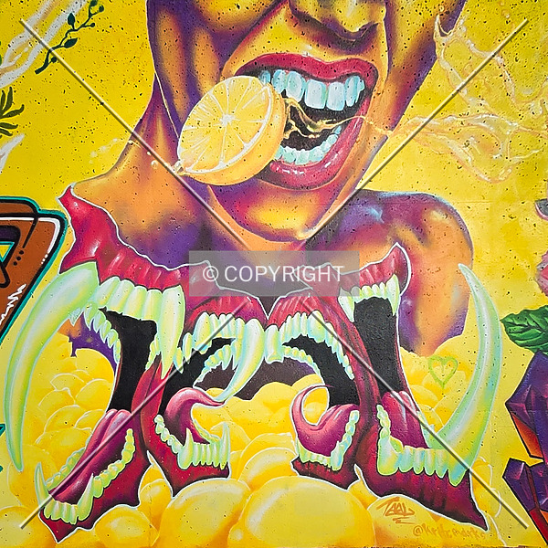 Saint Louis City Flood Wall (South Wall) by Ryan Hildebrand