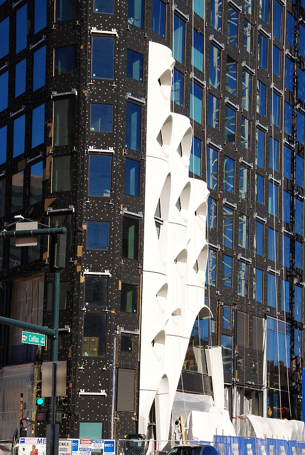 Populus by Brian LoBue