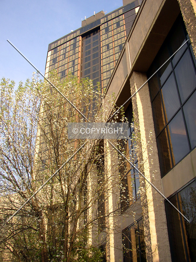 Renaissance Mobile Riverview Plaza Hotel by Chris Patriarca
