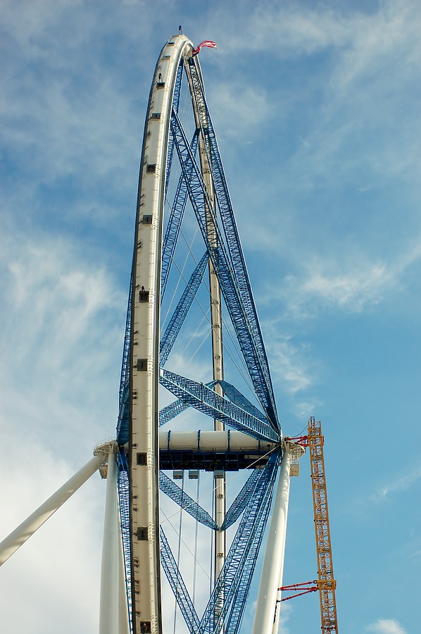 High Roller by Brian LoBue