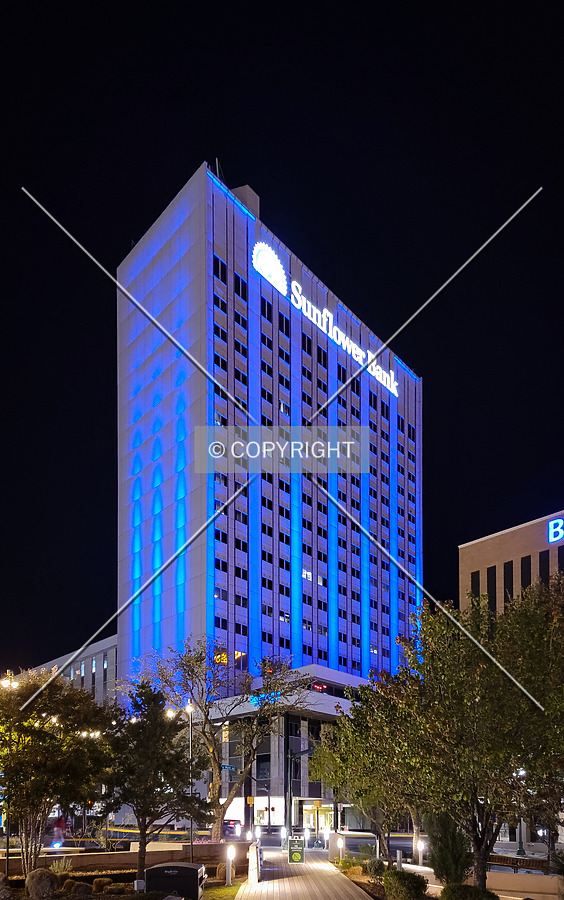 One San Jacinto Plaza by Ryan Hildebrand