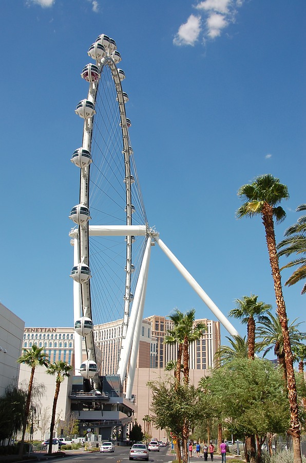 High Roller by Brian LoBue