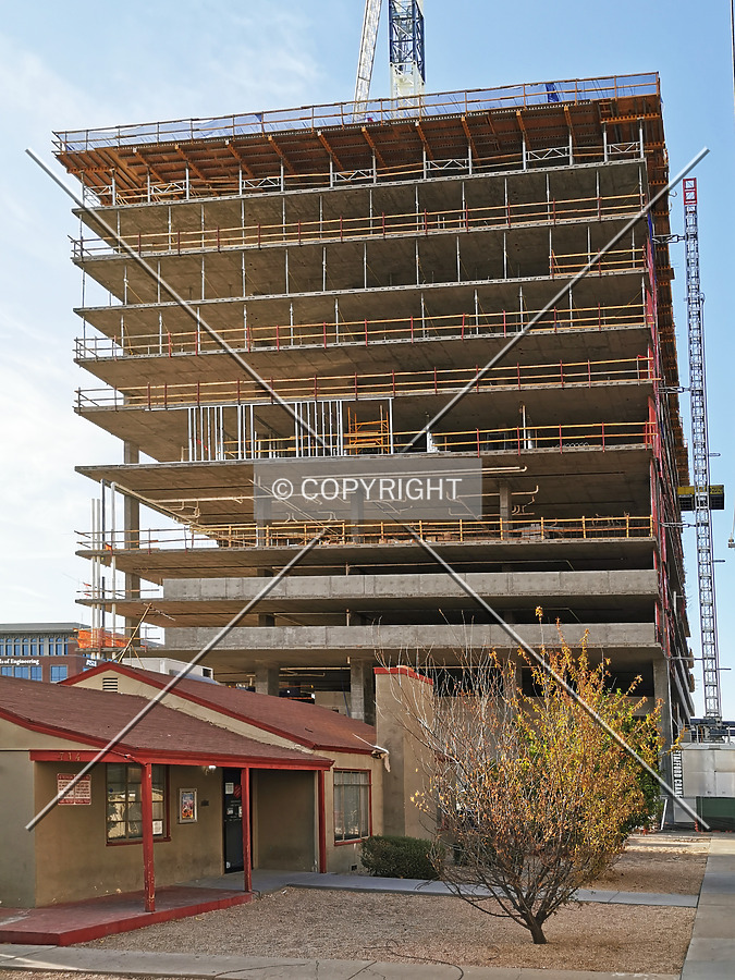 OLIV Tempe by Nephilim