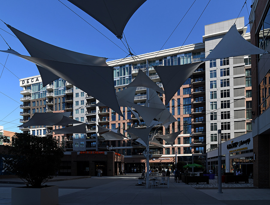 Deca Camperdown Apartments by John W. Cahill