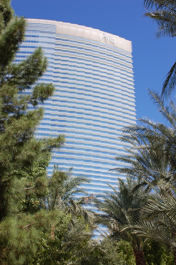 Aria Resort & Casino by Brian LoBue