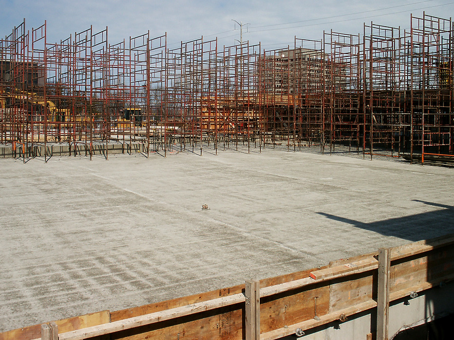 Optima Old Orchard Woods by Daniel Kieckhefer