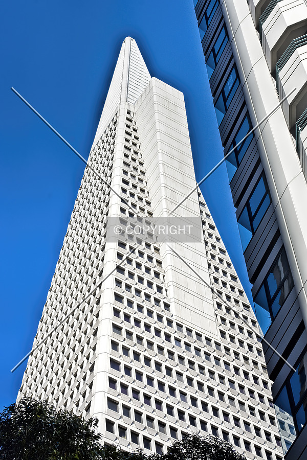 Transamerica Pyramid by Jorge Molina