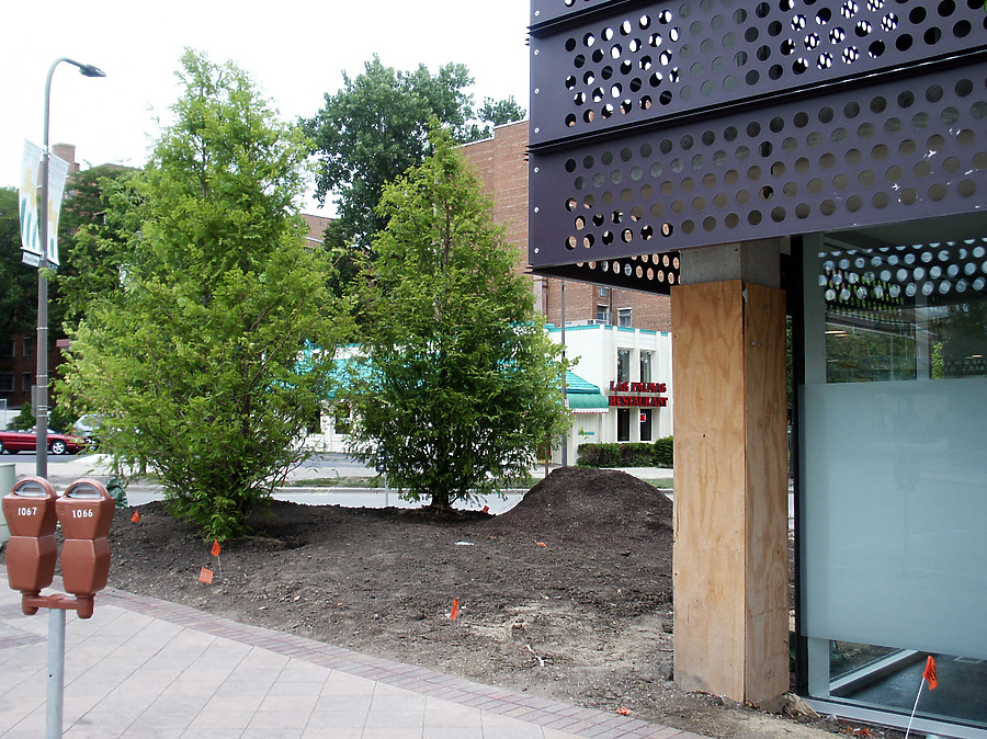 Optima Horizons by Daniel Kieckhefer