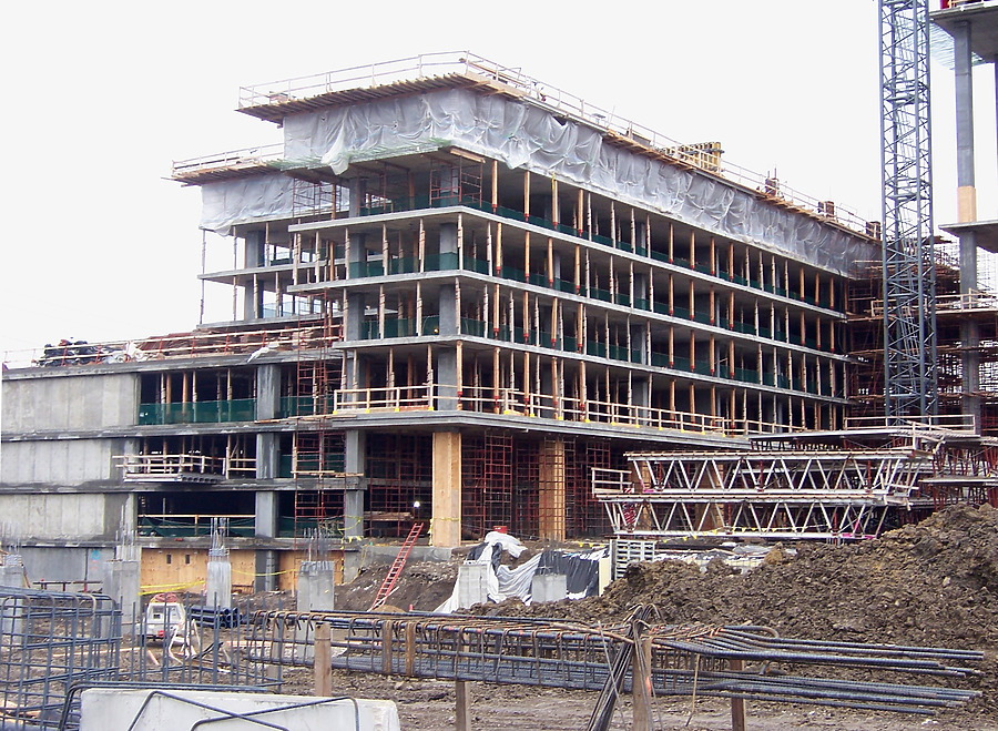 Optima Old Orchard Woods by Shawn Ursini