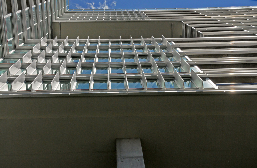 Optima Old Orchard Woods by Shawn Ursini