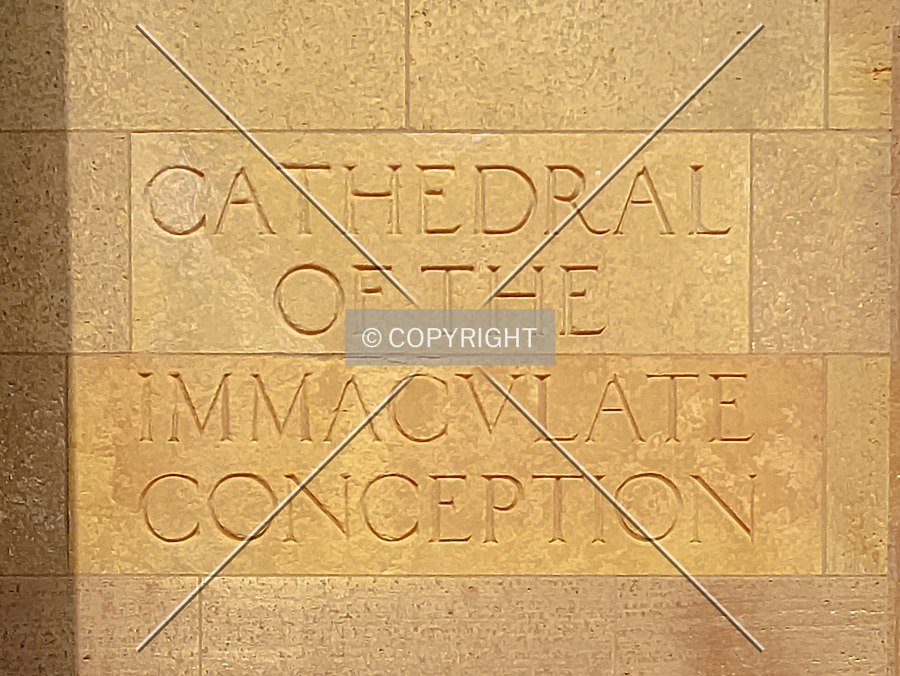 Cathedral of the Immaculate Conception by Ryan Hildebrand