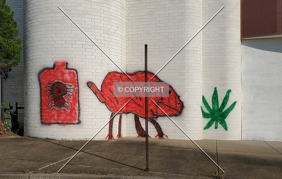 Jamestown Mall by Ryan Hildebrand