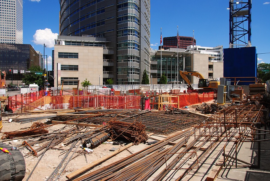 Populus by Brian LoBue