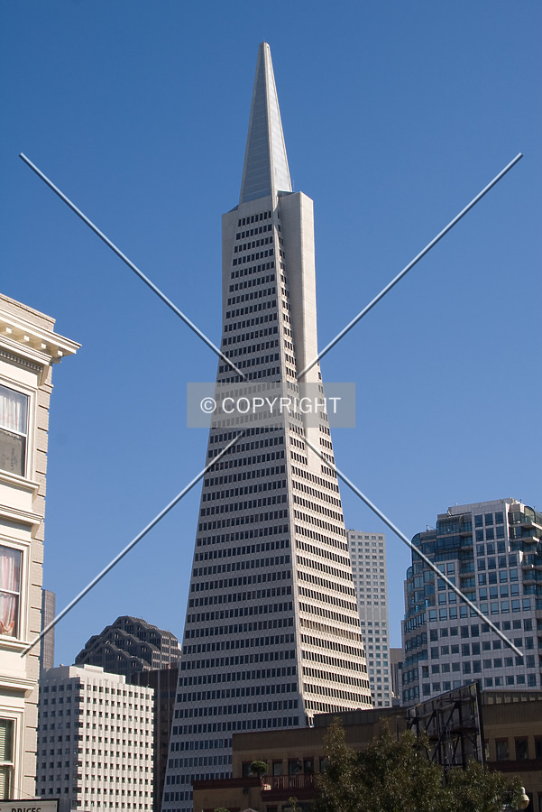 Transamerica Pyramid by Martin Bugajski