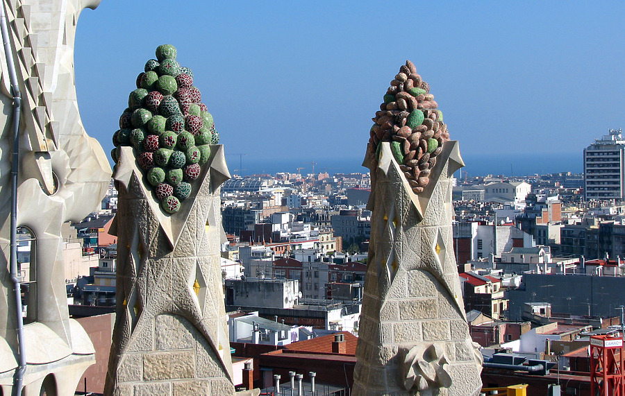 Temple de la Sagrada Família by Wilson Ling