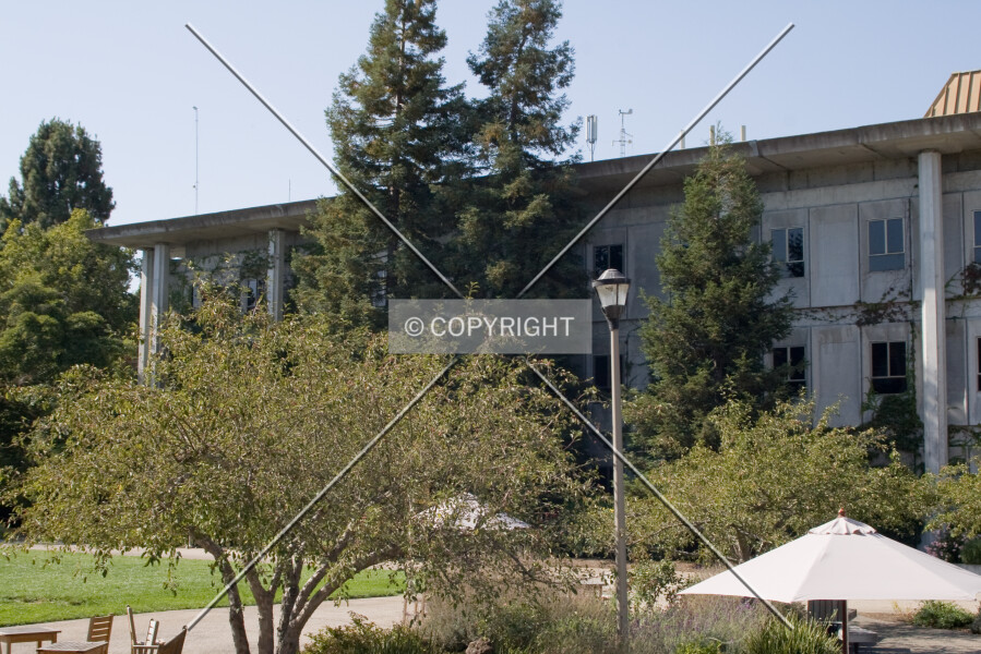 Stevenson Hall