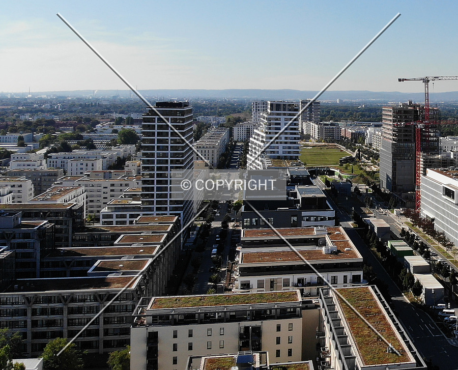 SOLID Home by Nephilim