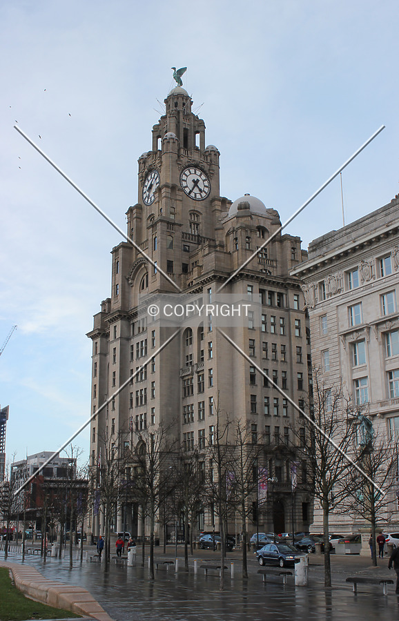 Royal Liver Building by Florian Barbier