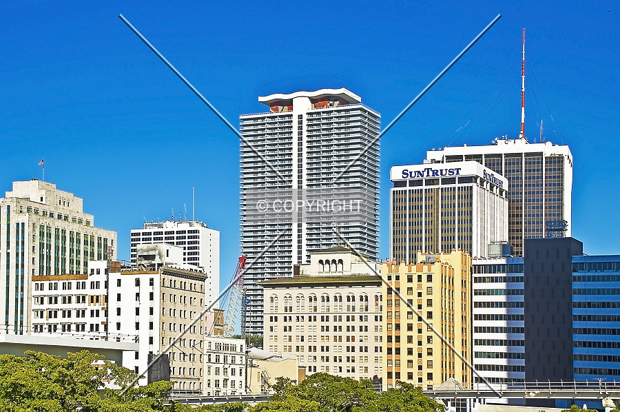 50 Biscayne by Jorge Molina