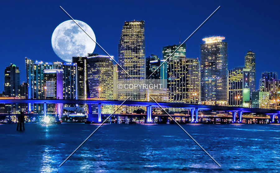 Southeast Financial Center by Jorge Molina