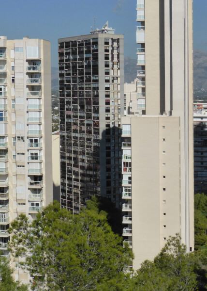 Gemelos 15
