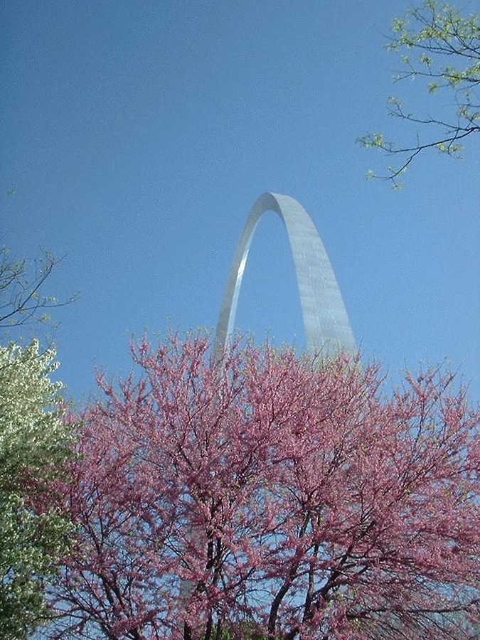 Gateway Arch by James Peacock
