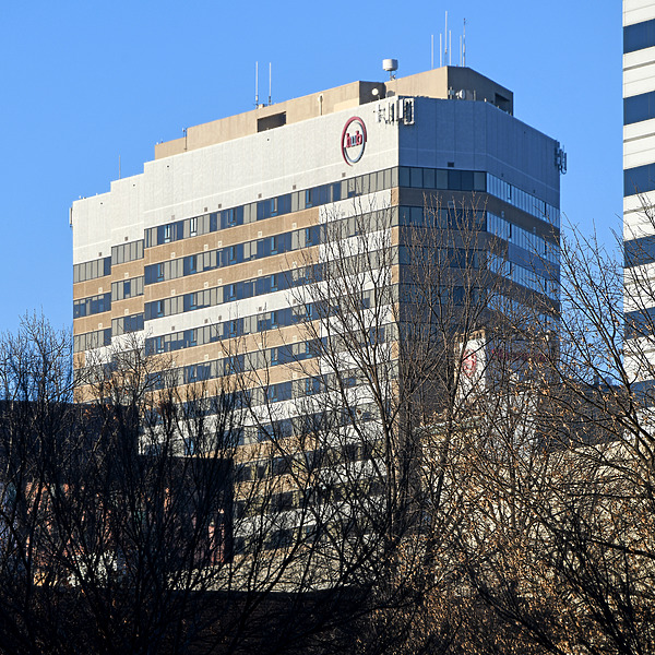 Palmetto Center by John W. Cahill