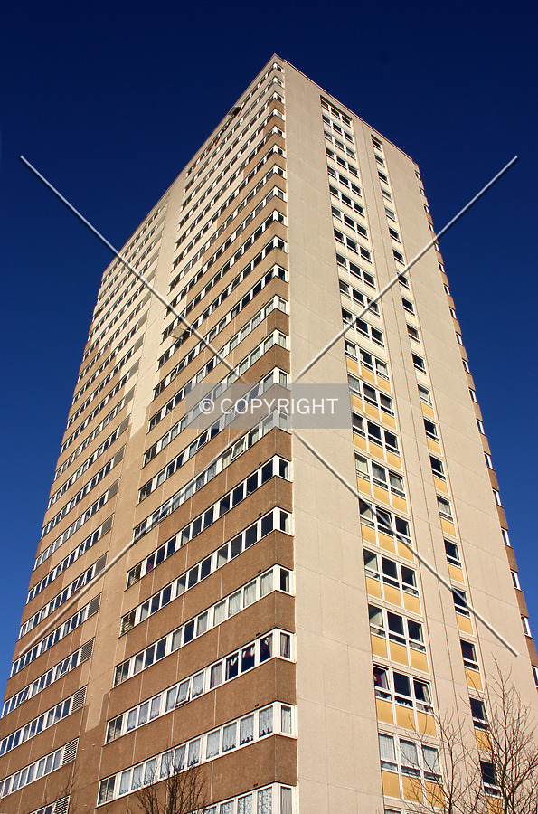 Hampton View by Neil Nickolds