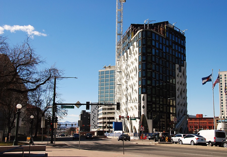 Populus by Brian LoBue