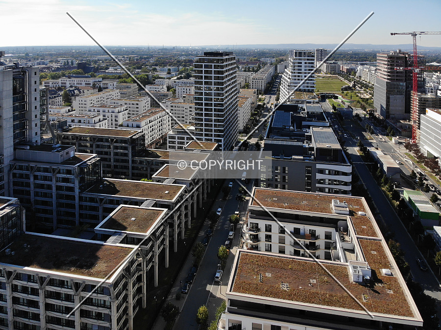 SOLID Home by Nephilim