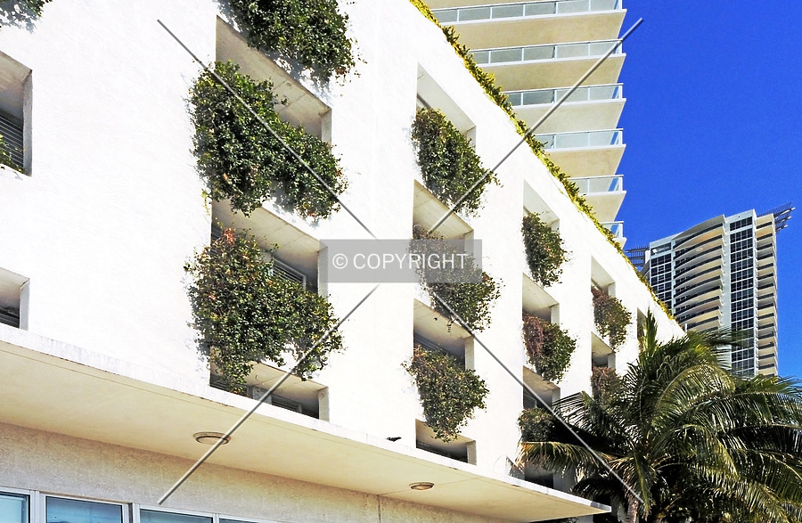 ICON at South Beach by Jorge Molina