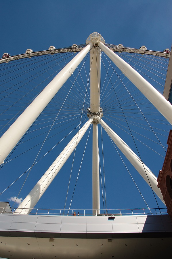 High Roller by Brian LoBue