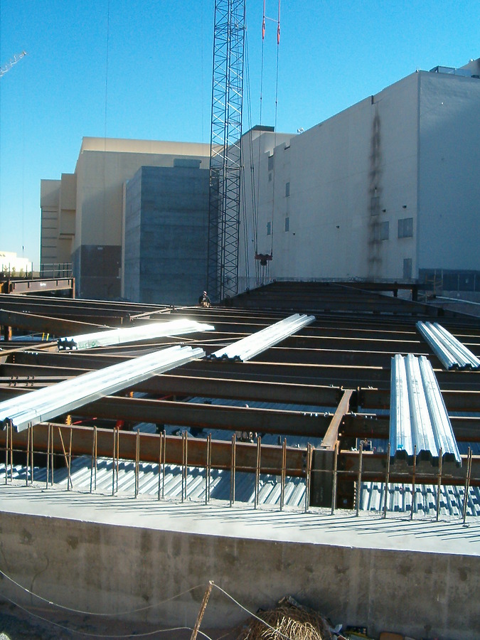 The Palazzo by Rodney Gunn